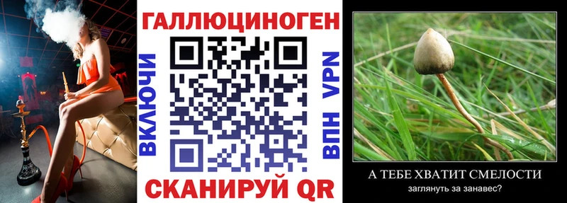 hydra как зайти как найти закладки Ува Псилоцибиновые грибы мухоморы